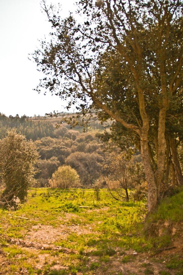 Cabanas Da Colina Bombarral Εξωτερικό φωτογραφία